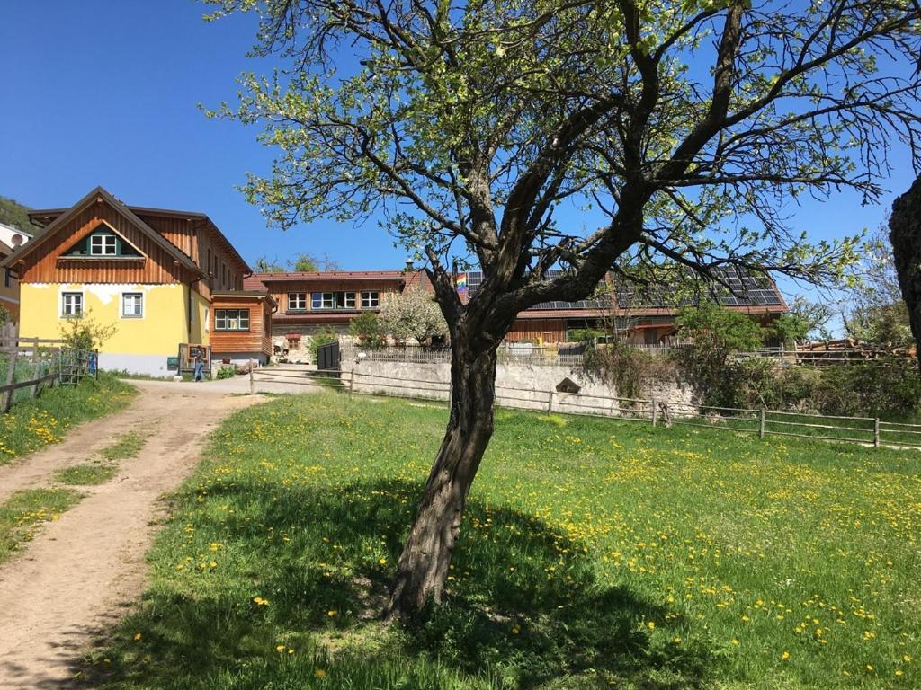 Ferienwohnung Hüdahof Niemtal Exterior foto